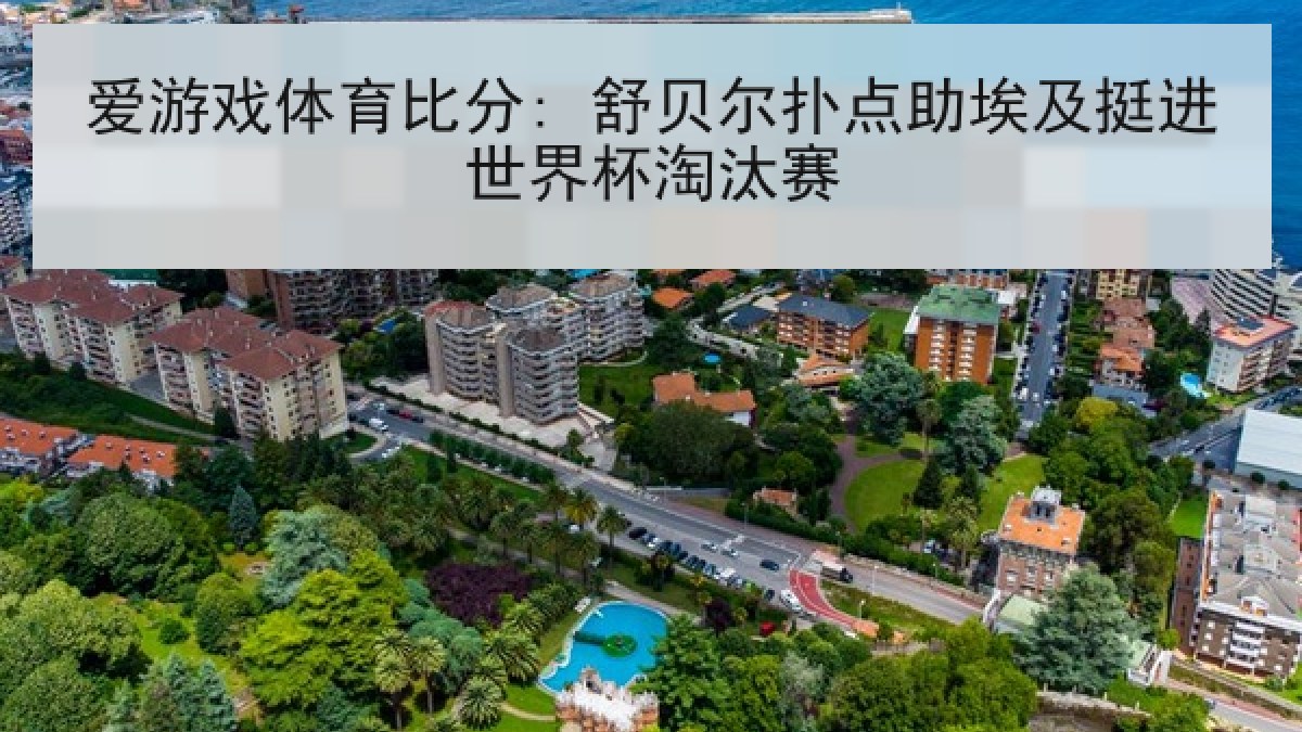 爱游戏体育比分: 舒贝尔扑点助埃及挺进世界杯淘汰赛