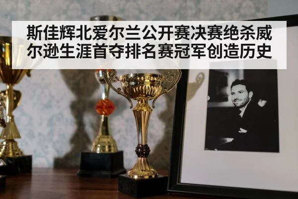 斯佳辉北爱尔兰公开赛决赛绝杀威尔逊生涯首夺排名赛冠军创造历史