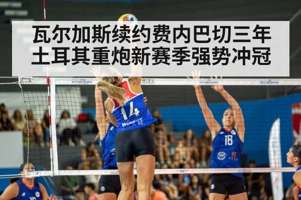 volleyball match action