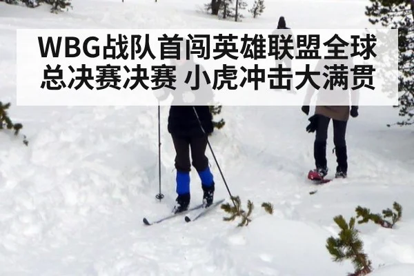WBG战队首闯英雄联盟全球总决赛决赛 小虎冲击大满贯
