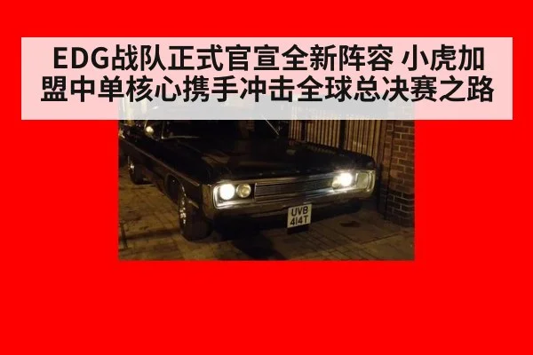 EDG战队正式官宣全新阵容 小虎加盟中单核心携手冲击全球总决赛之路